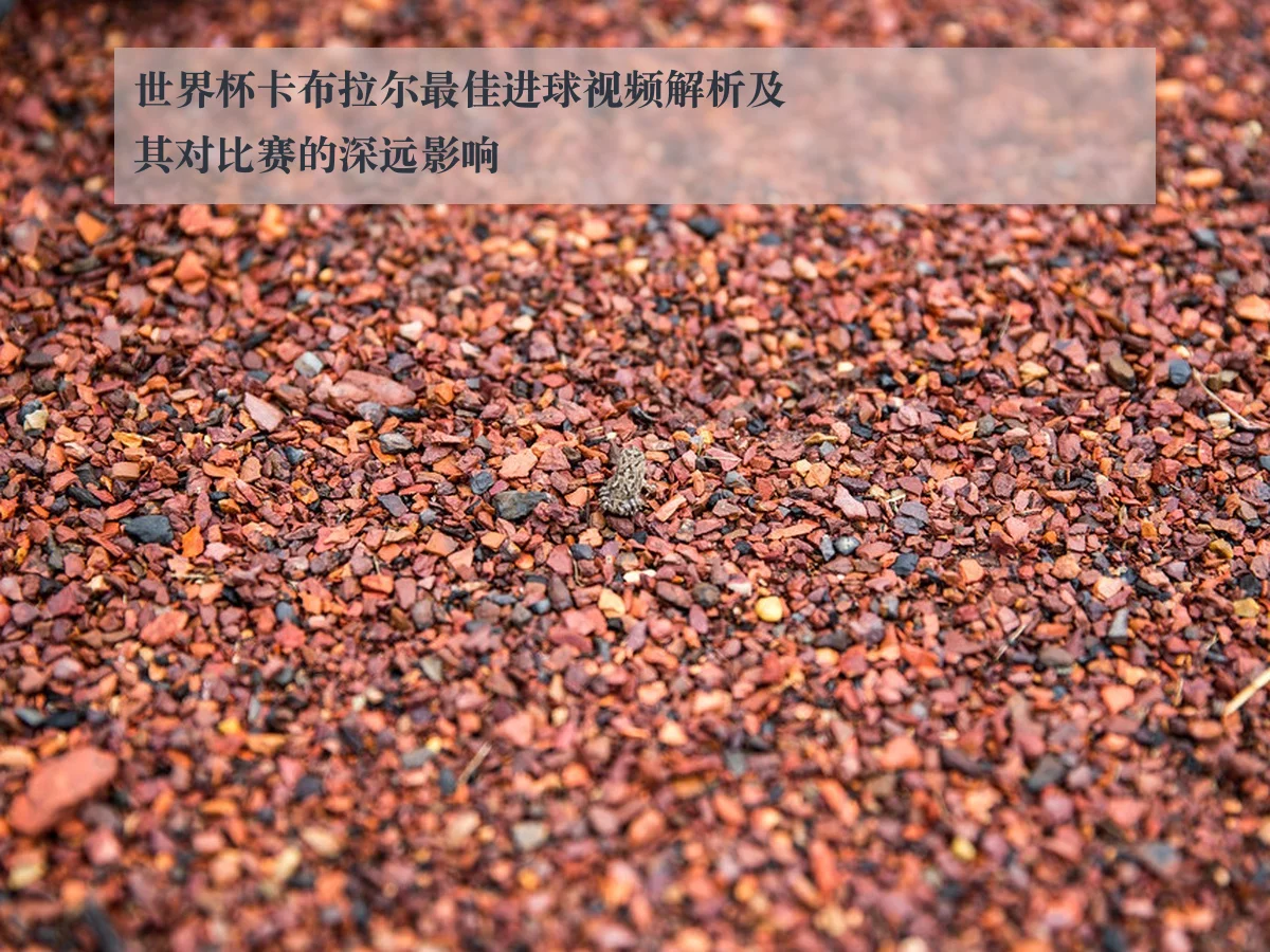 世界杯卡布拉尔最佳进球视频解析及其对比赛的深远影响
